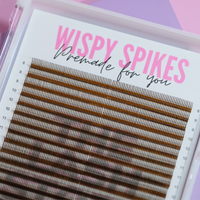 Wispy Spikes Premade Lash Trays