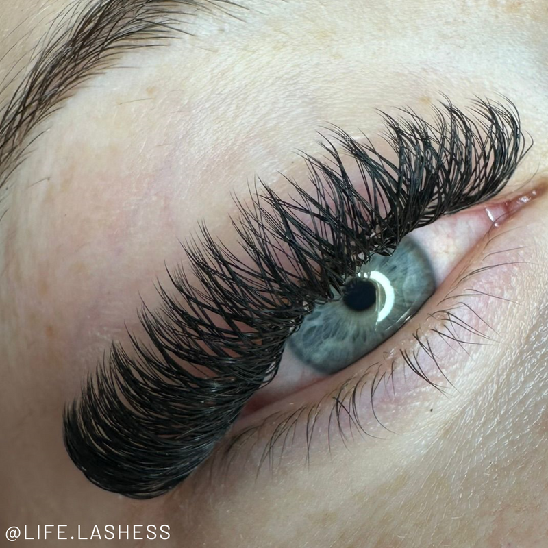 YY Wispy Premade Lash Fans