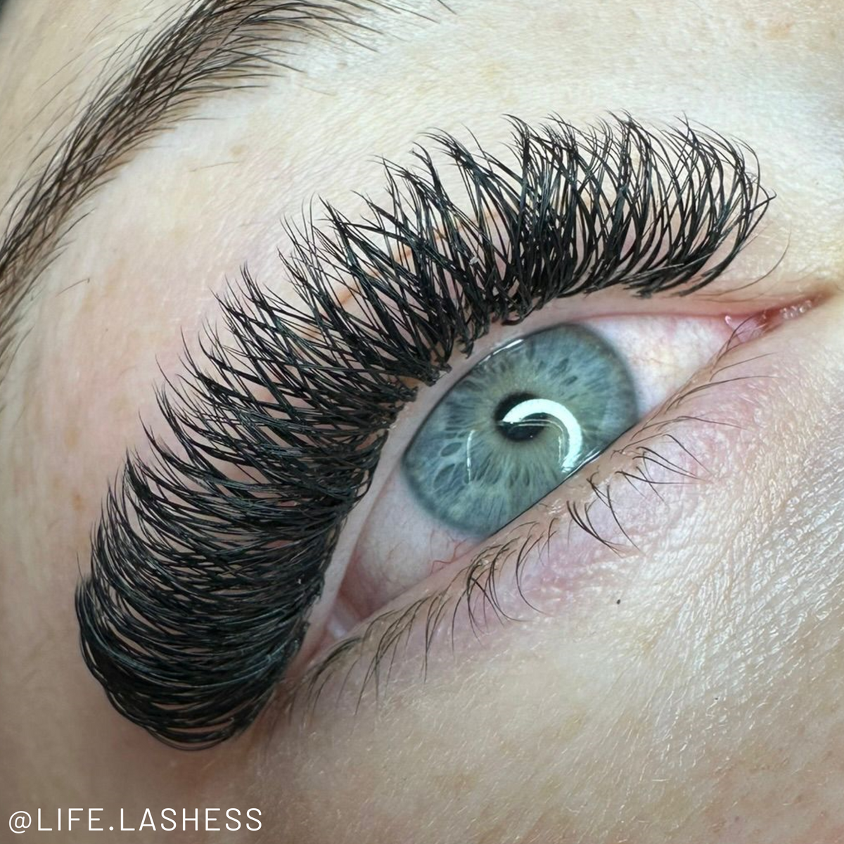 YY Wispy Premade Lash Fans